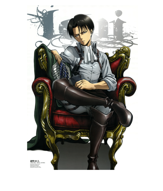 levi ackerman main