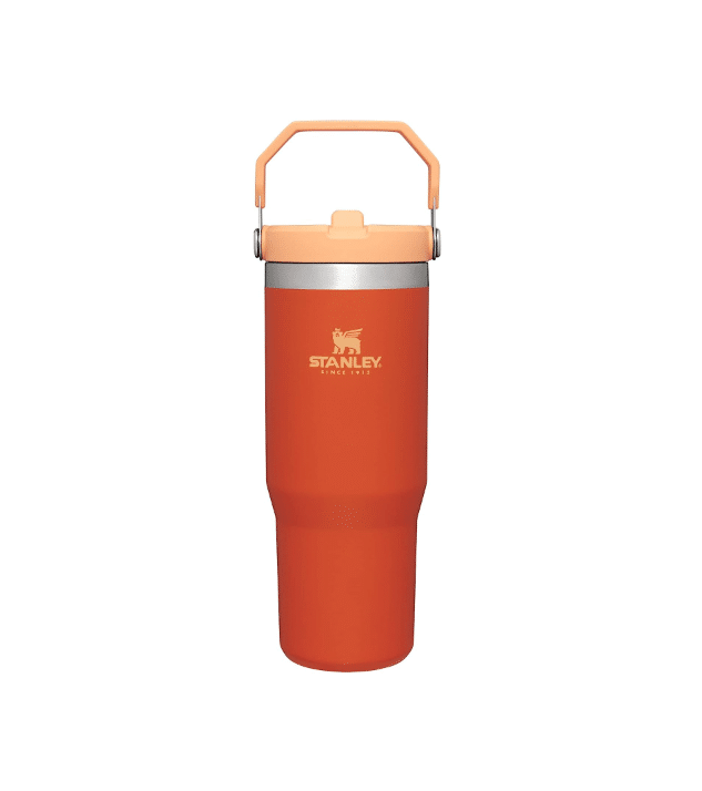 Stanley Water Bottle: Durable Hydration on the Go