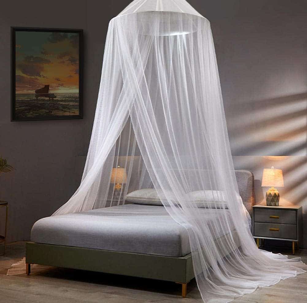 Canopy Bed