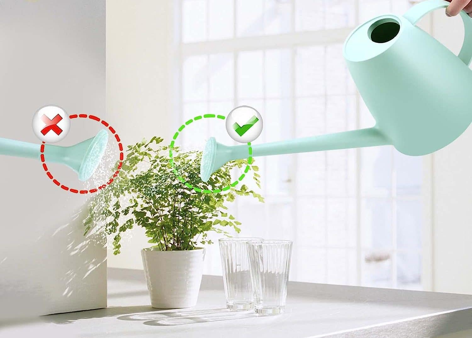 Best Watering Can